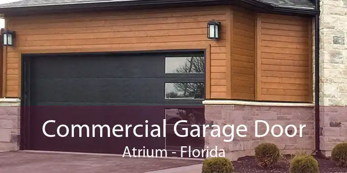 Commercial Garage Door Atrium - Florida