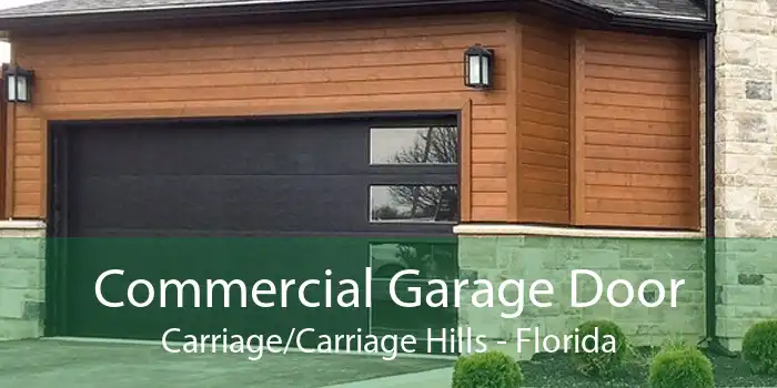 Commercial Garage Door Carriage/Carriage Hills - Florida