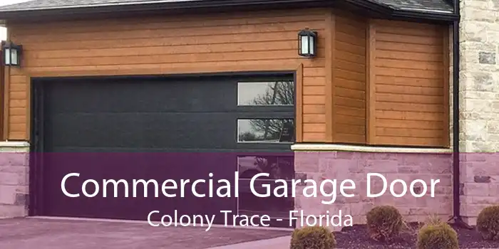 Commercial Garage Door Colony Trace - Florida