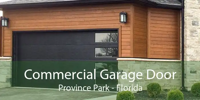 Commercial Garage Door Province Park - Florida