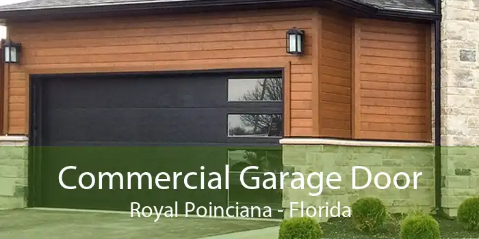 Commercial Garage Door Royal Poinciana - Florida