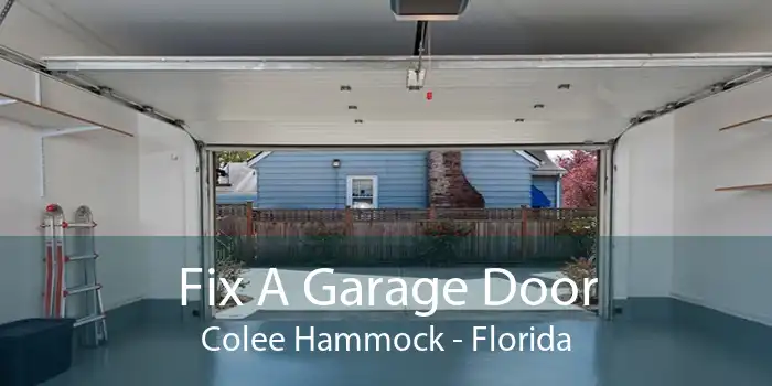 Fix A Garage Door Colee Hammock - Florida