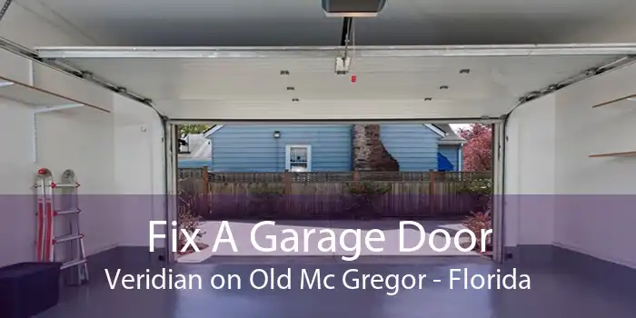 Fix A Garage Door Veridian on Old Mc Gregor - Florida