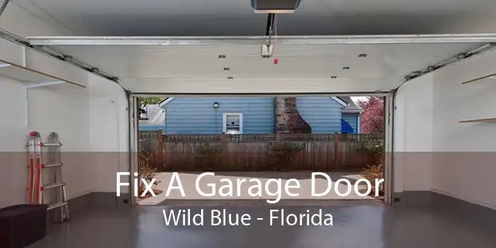 Fix A Garage Door Wild Blue - Florida