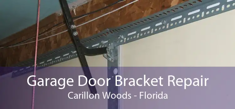 Garage Door Bracket Repair Carillon Woods - Florida