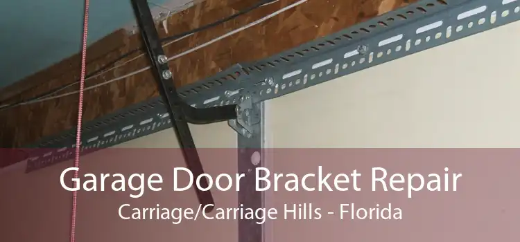 Garage Door Bracket Repair Carriage/Carriage Hills - Florida