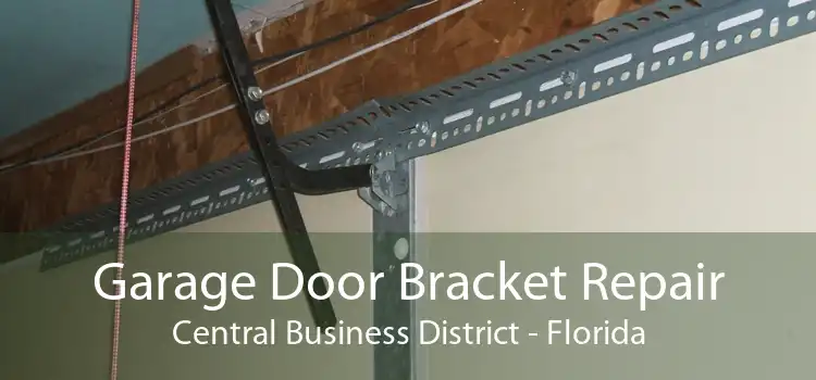 Garage Door Bracket Repair Central Business District - Florida