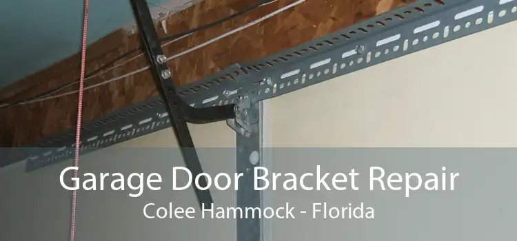 Garage Door Bracket Repair Colee Hammock - Florida