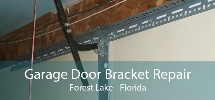 Garage Door Bracket Repair Forest Lake - Florida