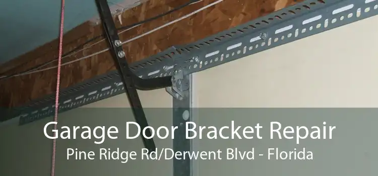 Garage Door Bracket Repair Pine Ridge Rd/Derwent Blvd - Florida