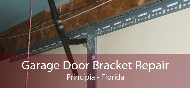 Garage Door Bracket Repair Principia - Florida