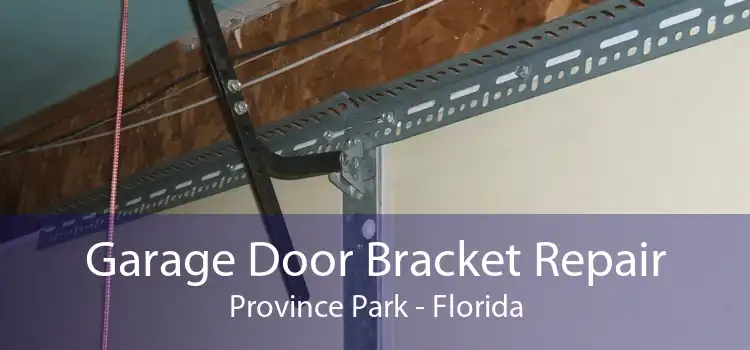 Garage Door Bracket Repair Province Park - Florida