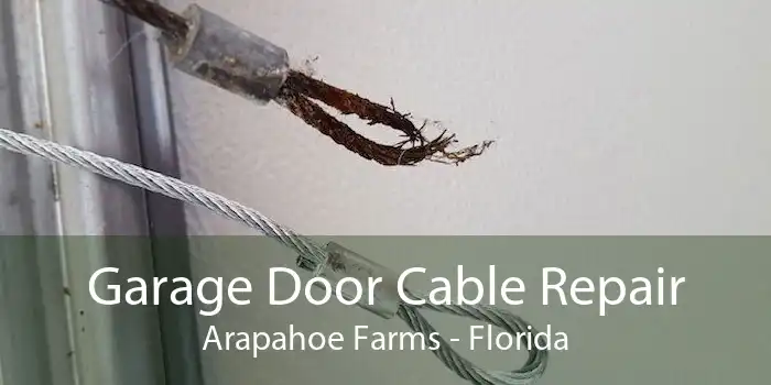 Garage Door Cable Repair Arapahoe Farms - Florida