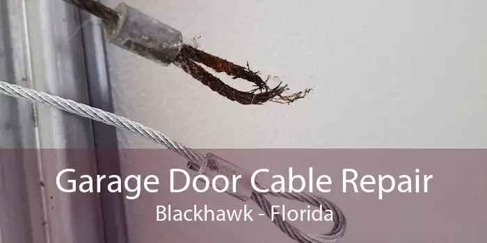 Garage Door Cable Repair Blackhawk - Florida