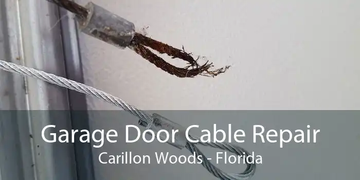 Garage Door Cable Repair Carillon Woods - Florida