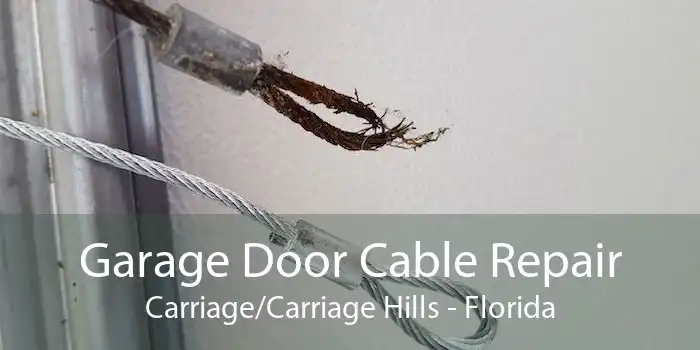 Garage Door Cable Repair Carriage/Carriage Hills - Florida