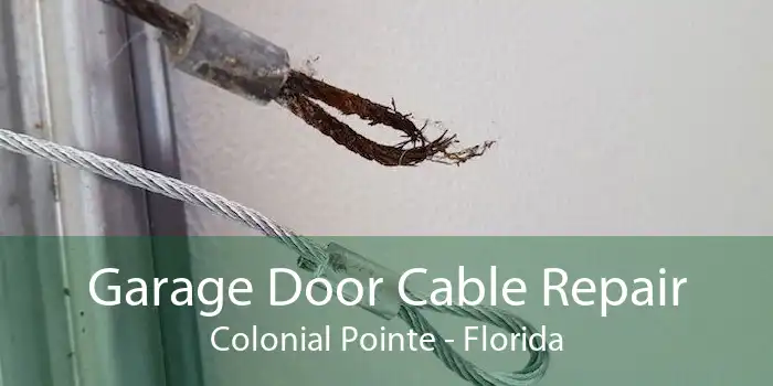 Garage Door Cable Repair Colonial Pointe - Florida