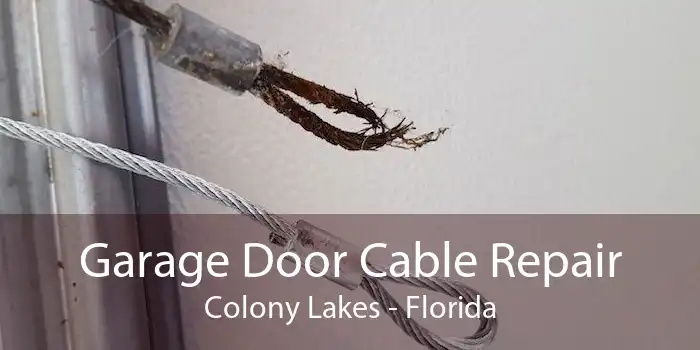 Garage Door Cable Repair Colony Lakes - Florida