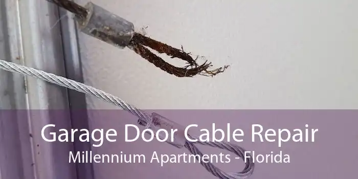 Garage Door Cable Repair Millennium Apartments - Florida