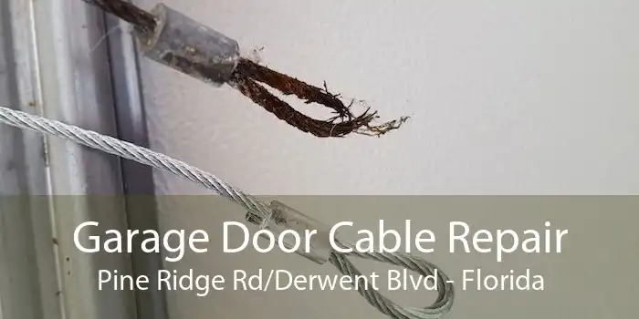 Garage Door Cable Repair Pine Ridge Rd/Derwent Blvd - Florida