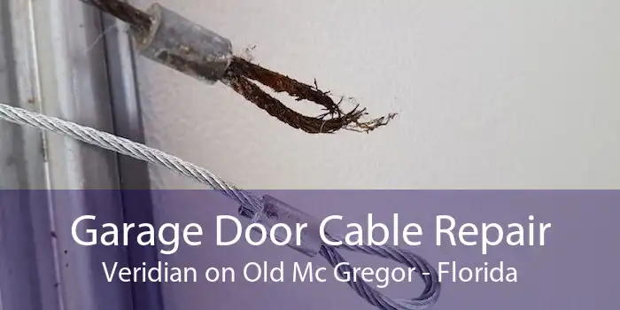 Garage Door Cable Repair Veridian on Old Mc Gregor - Florida