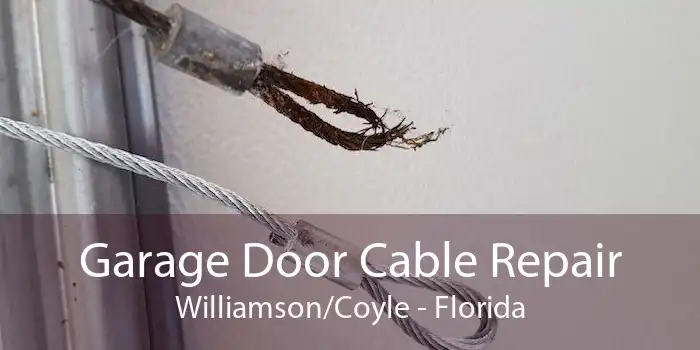 Garage Door Cable Repair Williamson/Coyle - Florida