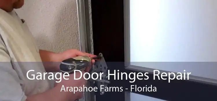 Garage Door Hinges Repair Arapahoe Farms - Florida