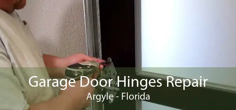 Garage Door Hinges Repair Argyle - Florida