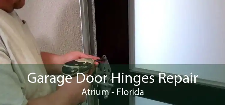 Garage Door Hinges Repair Atrium - Florida