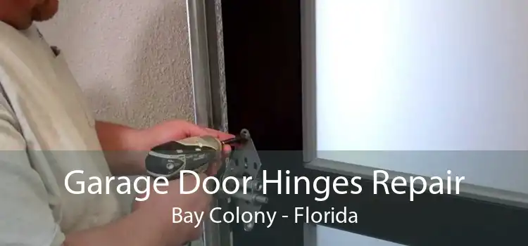 Garage Door Hinges Repair Bay Colony - Florida