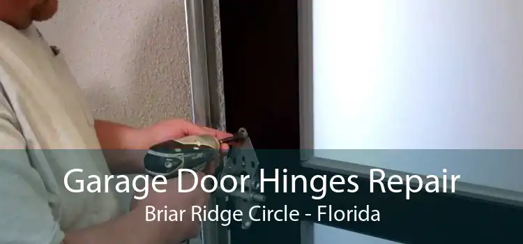 Garage Door Hinges Repair Briar Ridge Circle - Florida