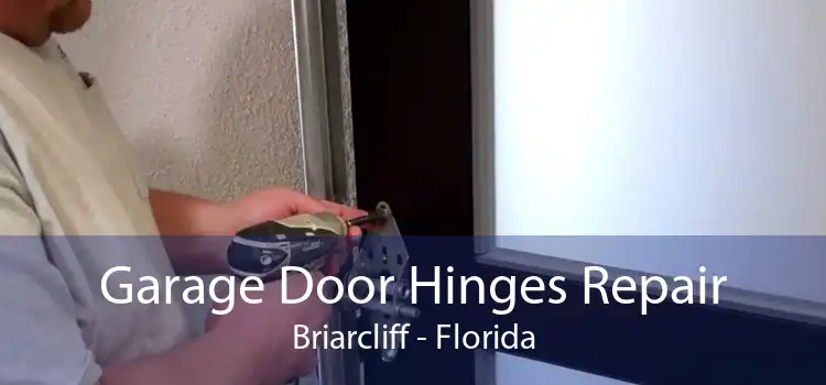 Garage Door Hinges Repair Briarcliff - Florida