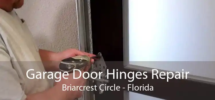 Garage Door Hinges Repair Briarcrest Circle - Florida