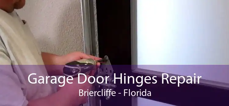 Garage Door Hinges Repair Briercliffe - Florida