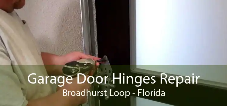 Garage Door Hinges Repair Broadhurst Loop - Florida