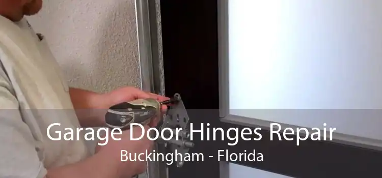 Garage Door Hinges Repair Buckingham - Florida