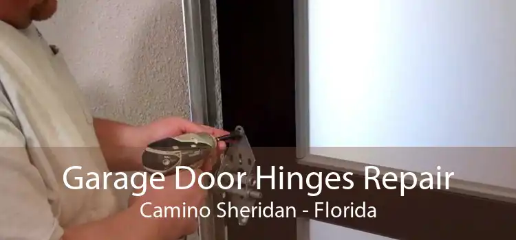 Garage Door Hinges Repair Camino Sheridan - Florida