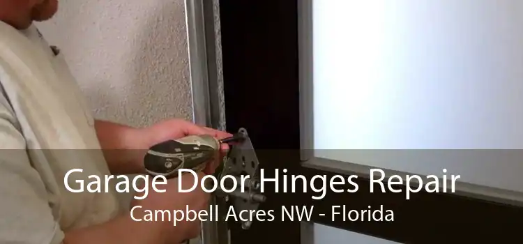 Garage Door Hinges Repair Campbell Acres NW - Florida