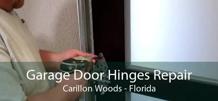 Garage Door Hinges Repair Carillon Woods - Florida