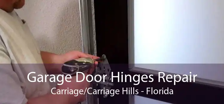 Garage Door Hinges Repair Carriage/Carriage Hills - Florida