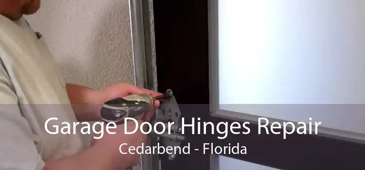 Garage Door Hinges Repair Cedarbend - Florida