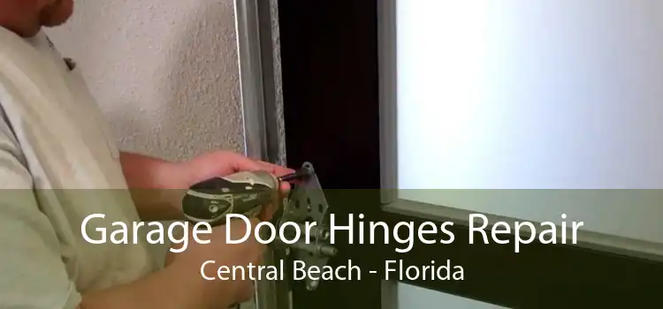 Garage Door Hinges Repair Central Beach - Florida