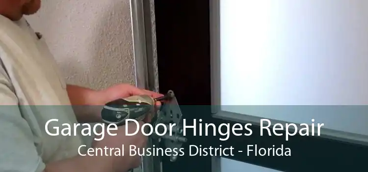 Garage Door Hinges Repair Central Business District - Florida