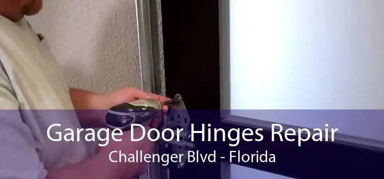 Garage Door Hinges Repair Challenger Blvd - Florida