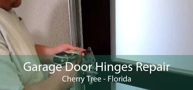 Garage Door Hinges Repair Cherry Tree - Florida