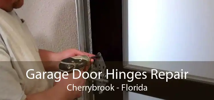 Garage Door Hinges Repair Cherrybrook - Florida