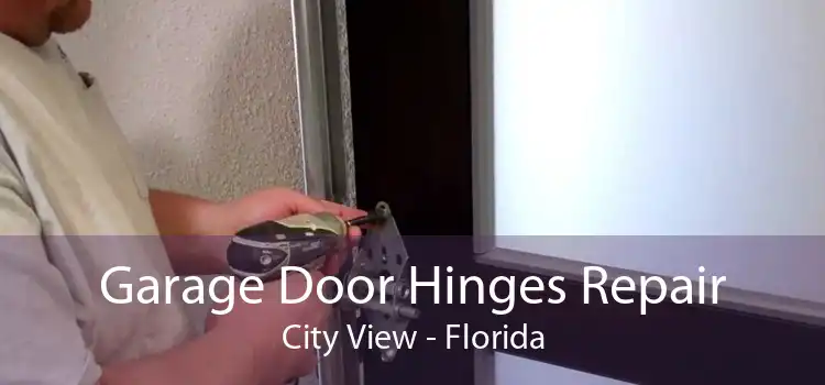 Garage Door Hinges Repair City View - Florida