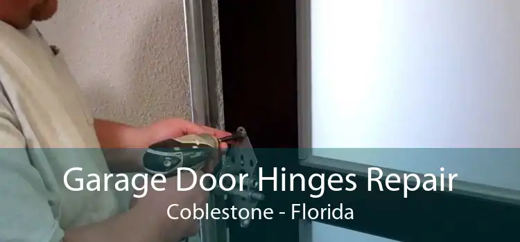 Garage Door Hinges Repair Coblestone - Florida