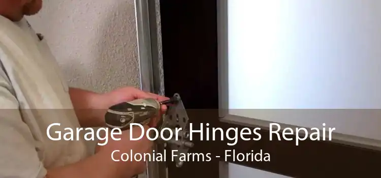 Garage Door Hinges Repair Colonial Farms - Florida