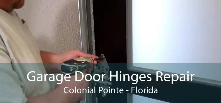 Garage Door Hinges Repair Colonial Pointe - Florida